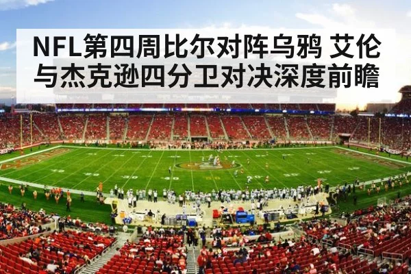 american football stadium night crowd