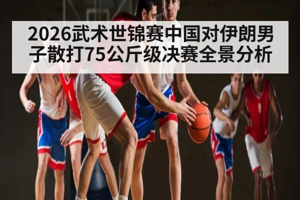 2026武术世锦赛中国对伊朗男子散打75公斤级决赛全景分析
